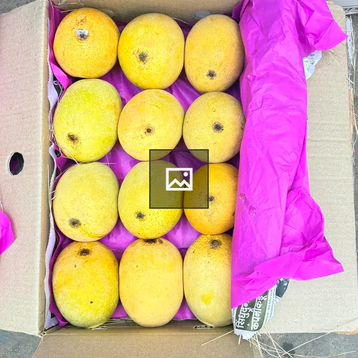 Mangoes in Cardboard Box