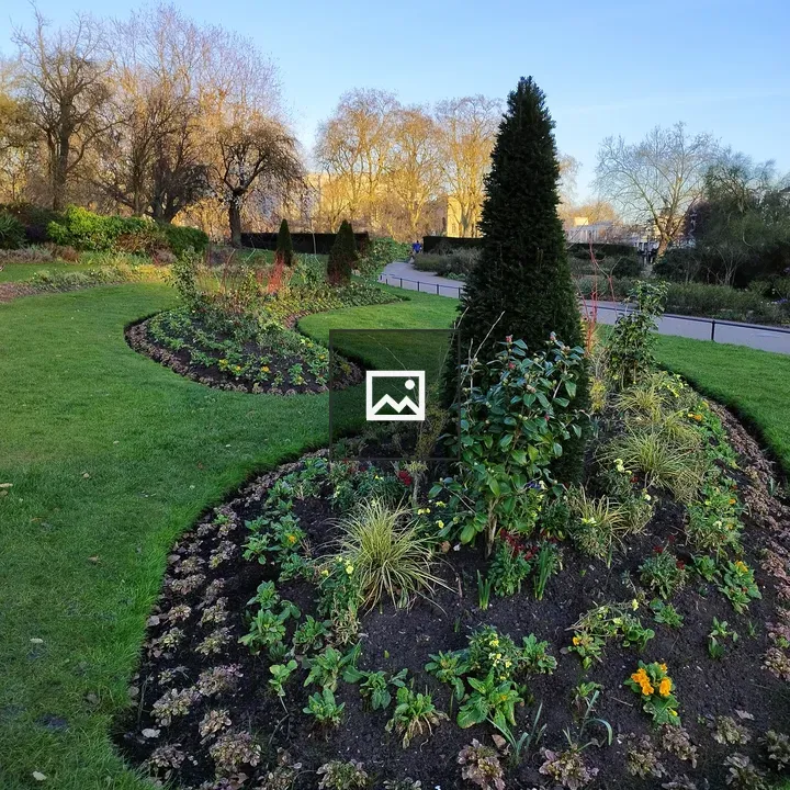 Garden with Cone-shaped Evergreen