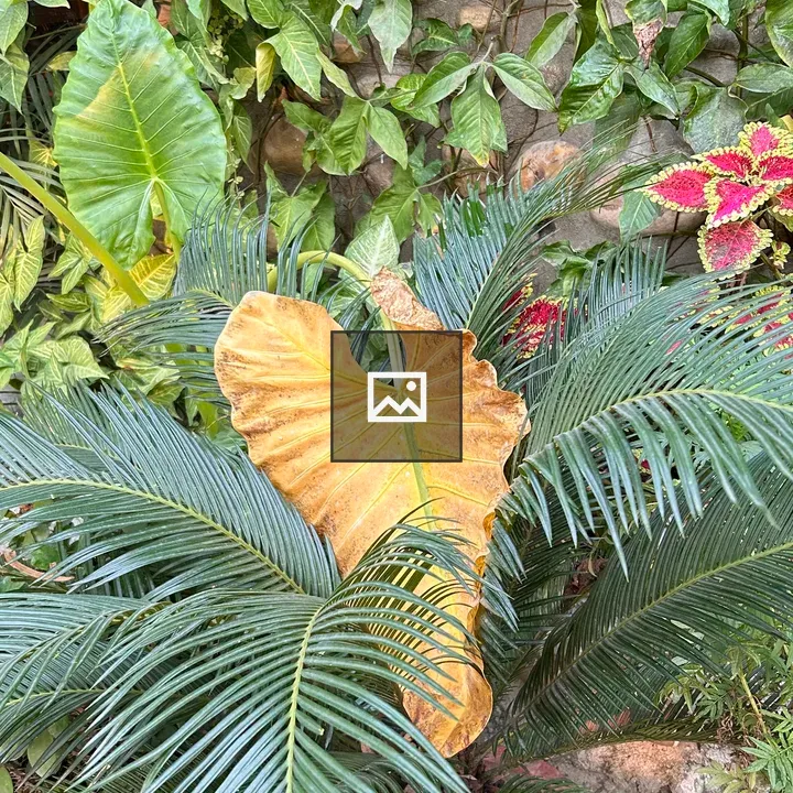 Leafy Yellow Centered Plant Scene