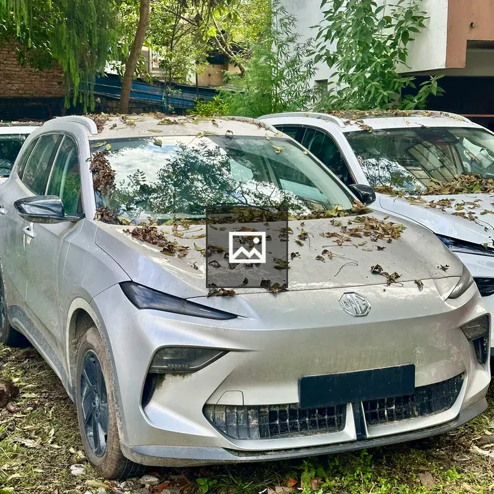SUV in Backyard with Leaves
