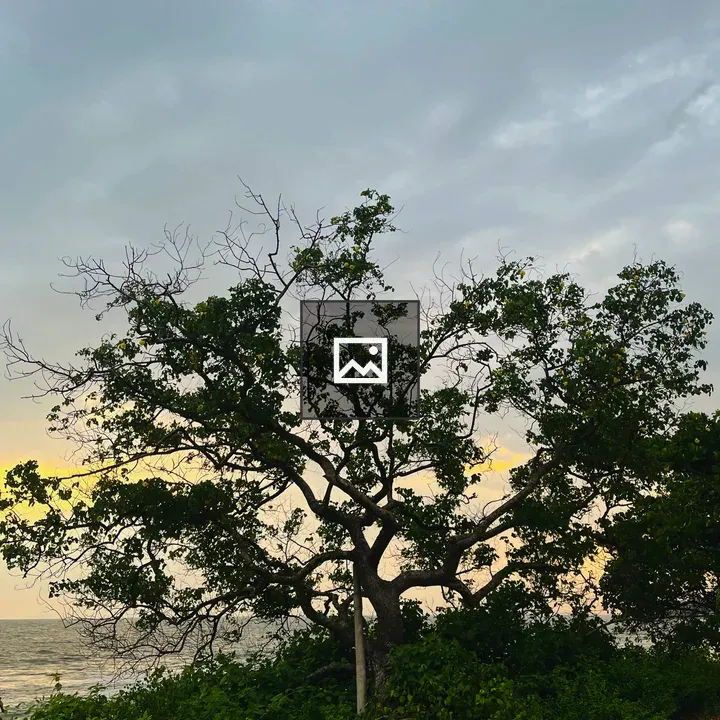 Tree by the river