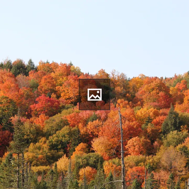 Autumn Foliage in Adirondacks