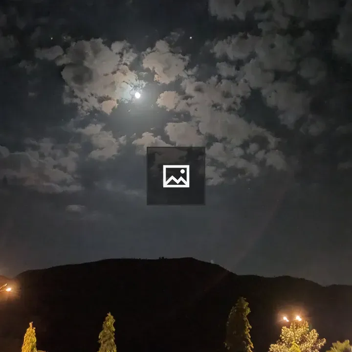 Night Moon