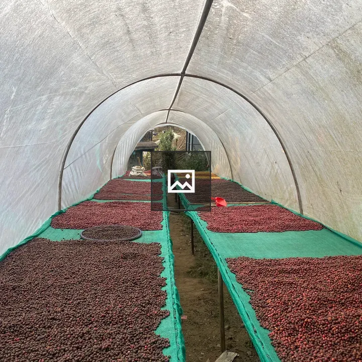 Tunnel of Coffee Beans