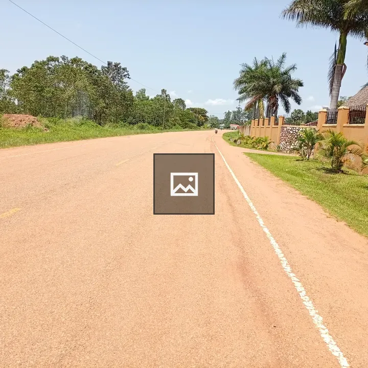 Unpaved Road by Green Wall
