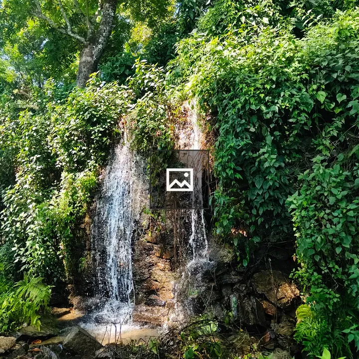 Serene waterfall with greenery