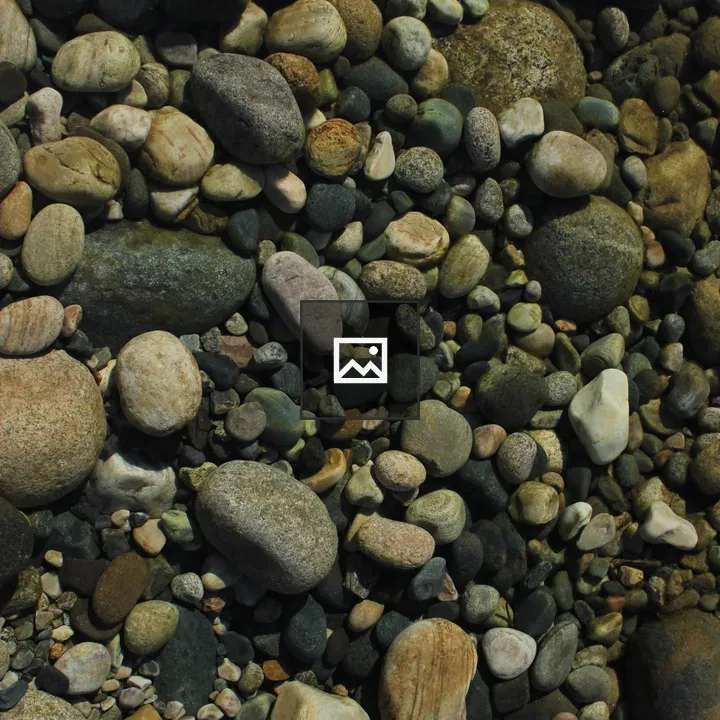 Close-up River Stone Ground Cover