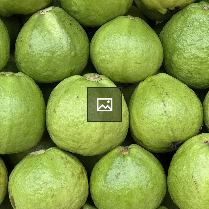 Glossy green fruits close-up