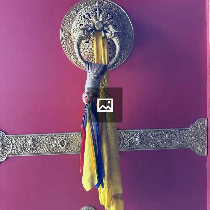 Lion Head Door Knocker