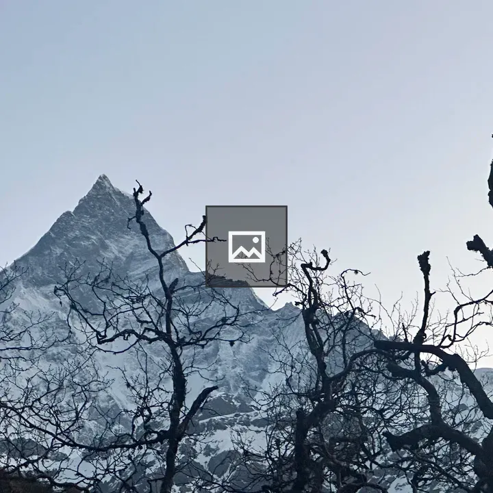 Silhouette Trees Against Snowy Mountain