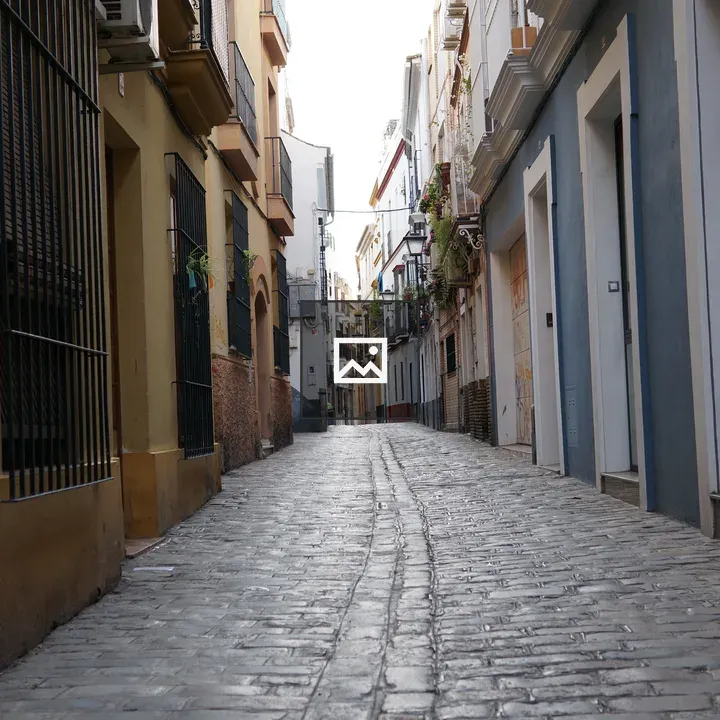 Stone-paved street in Seville