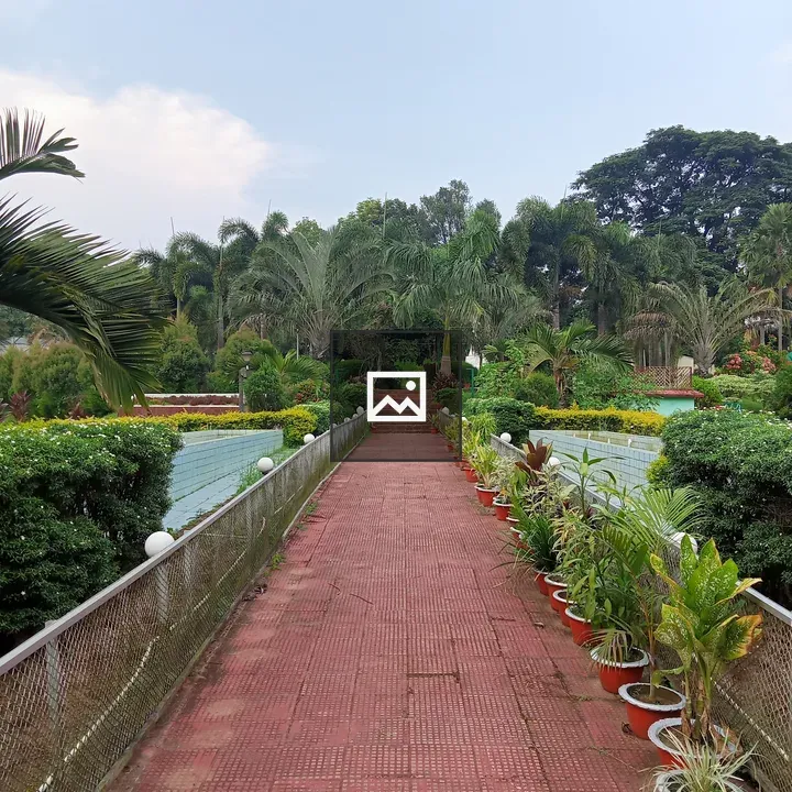 Rabindra Kanan Park Scene