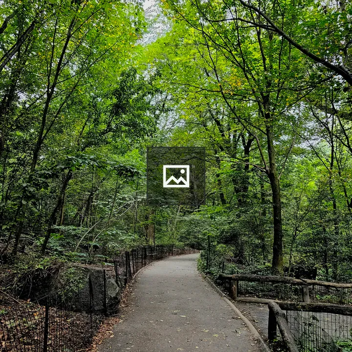 Mini forest in Central Park
