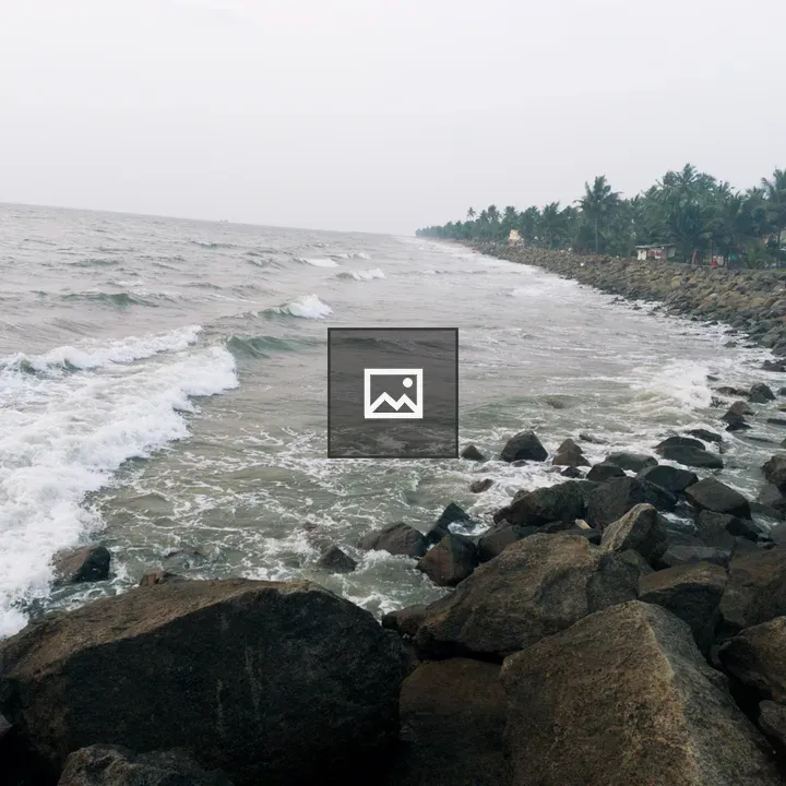 Rocky shoreline with palm trees