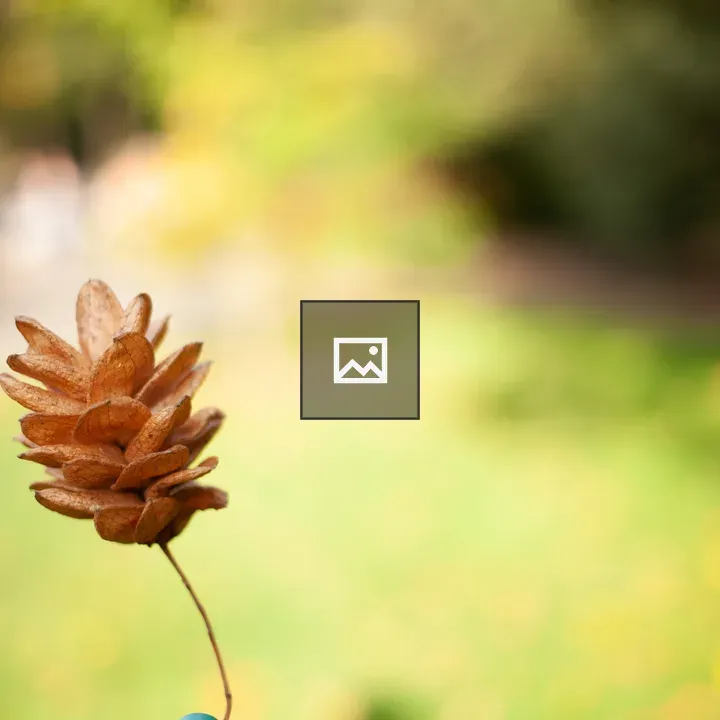 Small tree seeds on blurred background