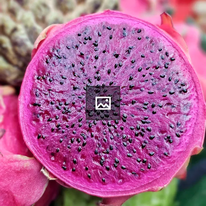 Red Dragon Fruit Slice