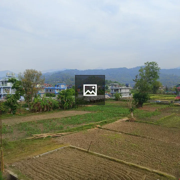 Fields and Hills Landscape