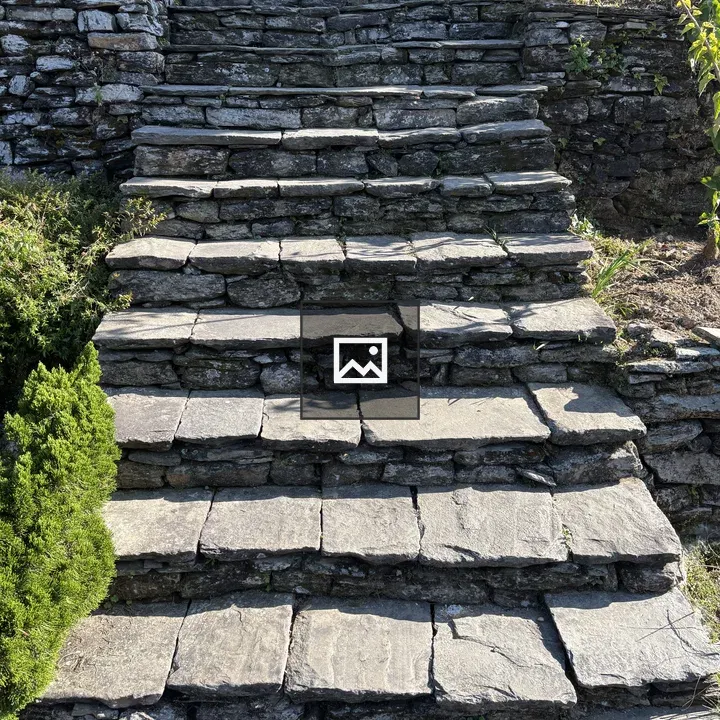 Stone staircase with grass edges