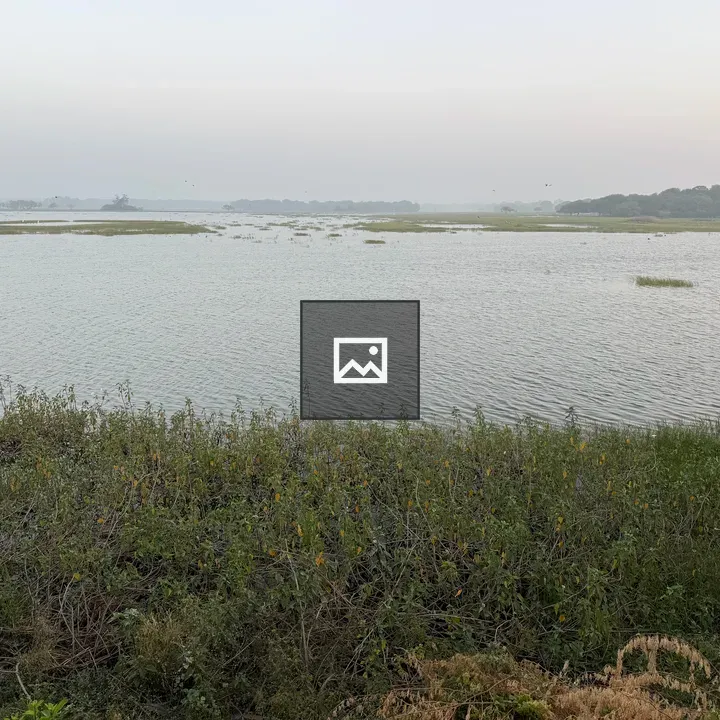 Misty River Landscape