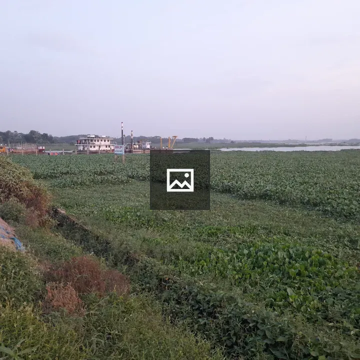 River scene with boat and crops