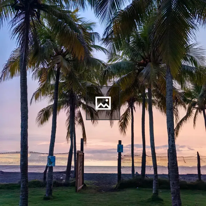 Path to the beach sunset