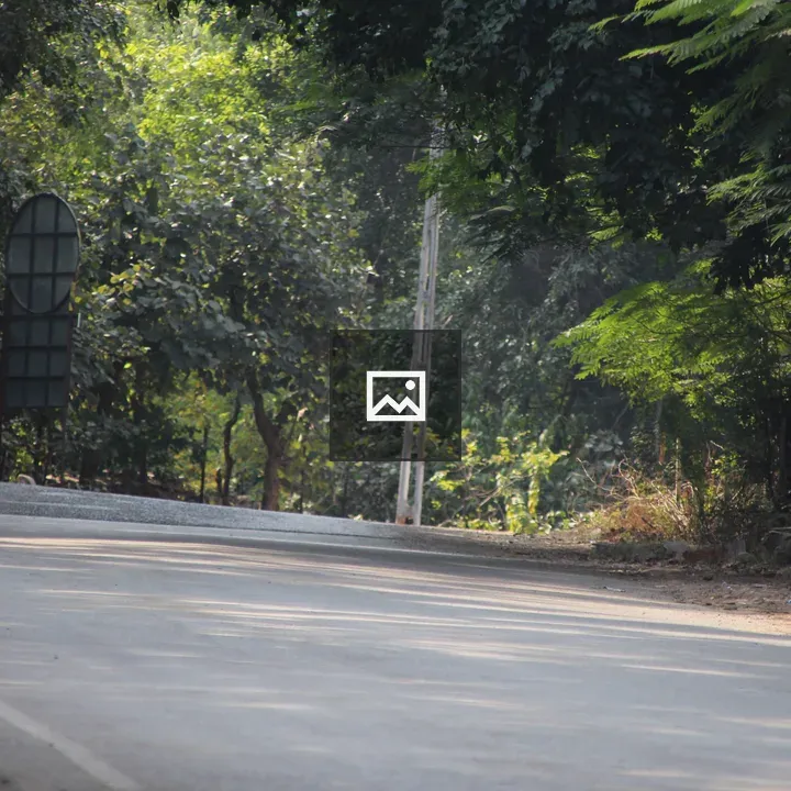 Road through green landscape