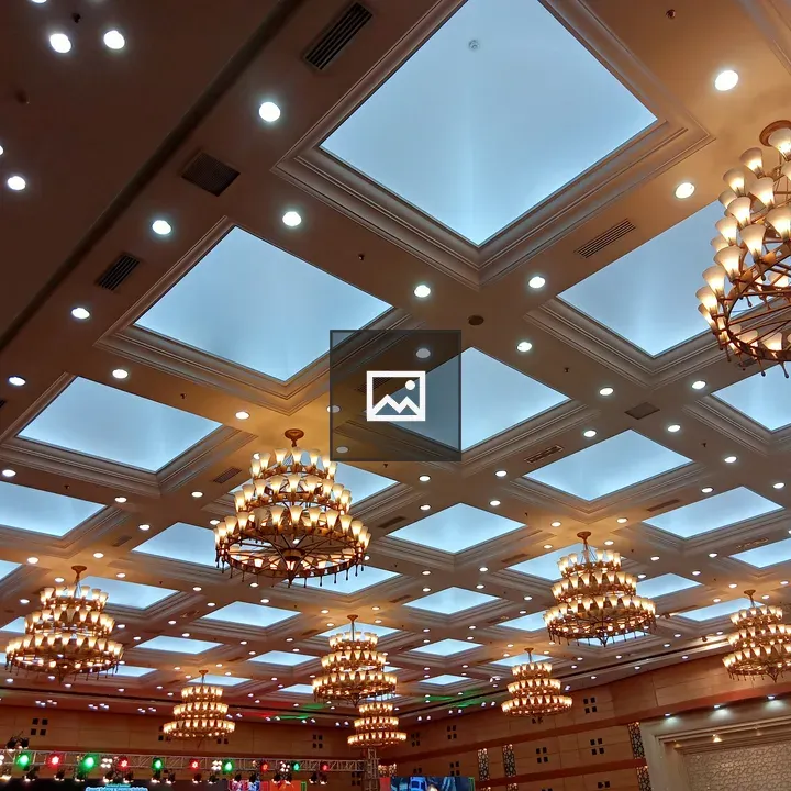 Ceiling view at conference center