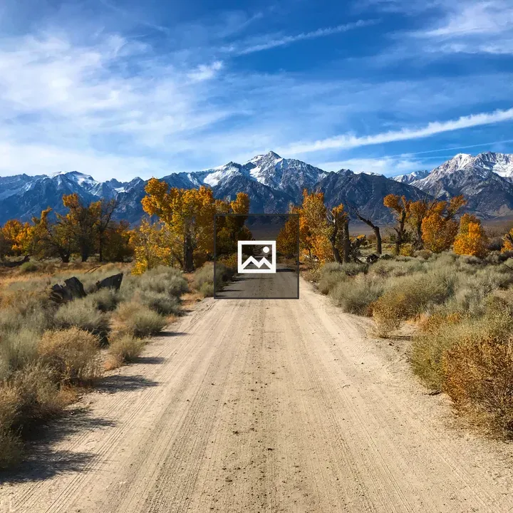 Colorful Autumn Trees and Road