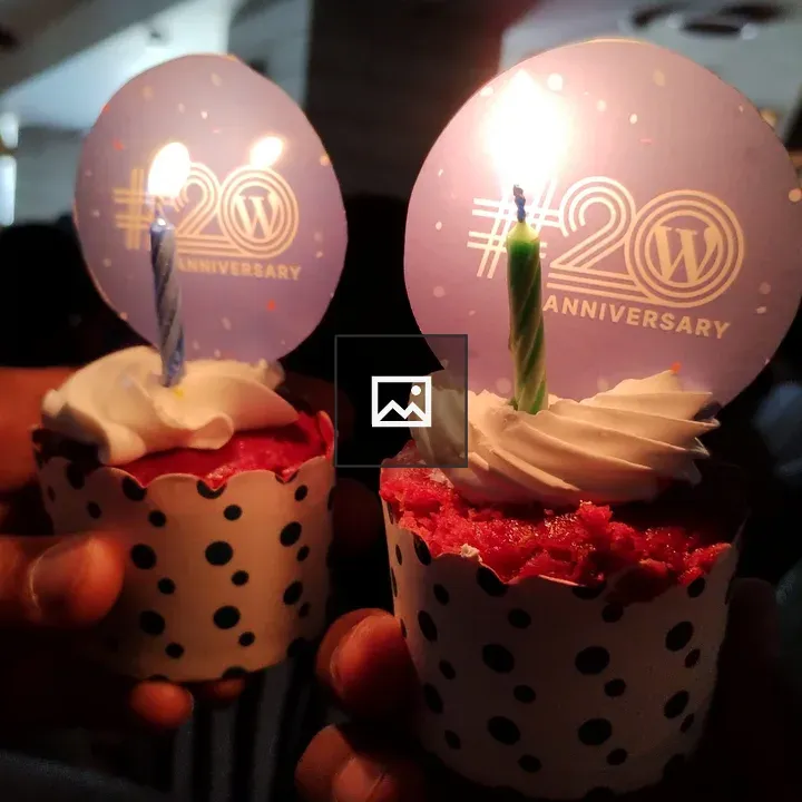 WordPress Anniversary Photo