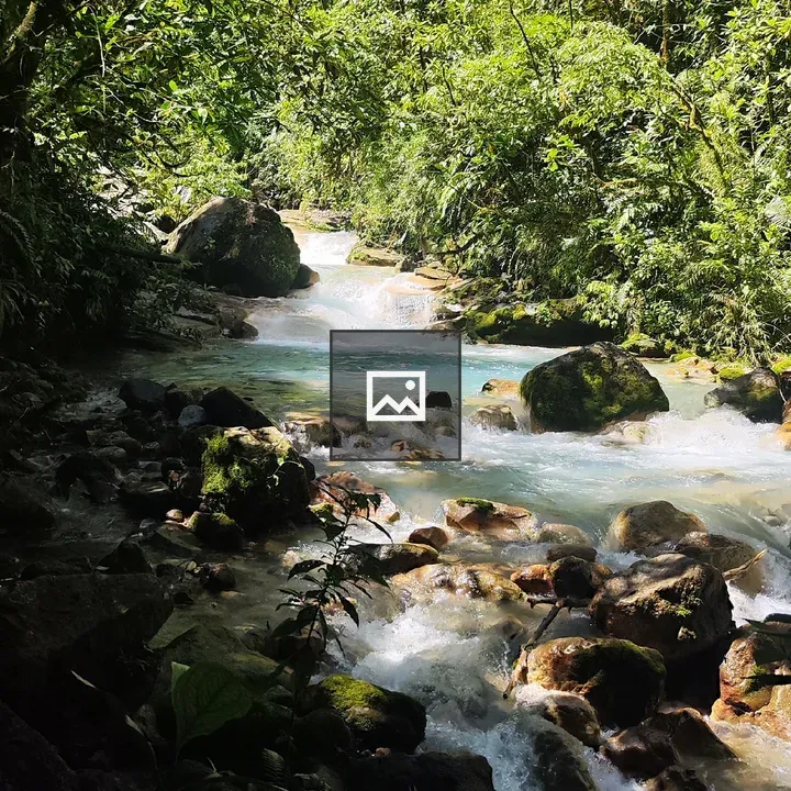 Crystal river through tropical vegetation