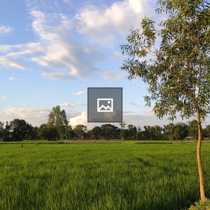 Lush field with sapling