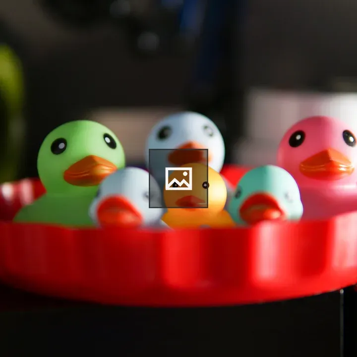 Family of colorful rubber ducks