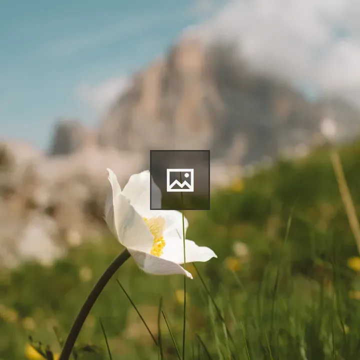 Flower with Mountain Background