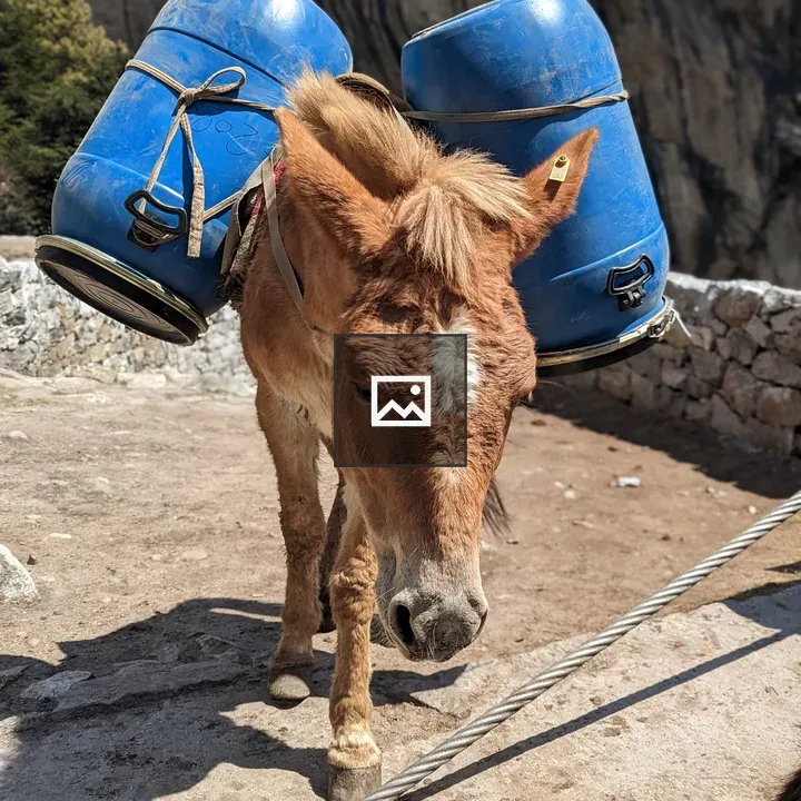 Donkey Carrying Goods on Mountain Path