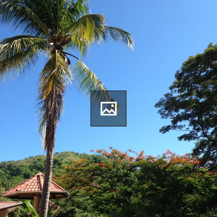 Palm tree with hotel rooftop background