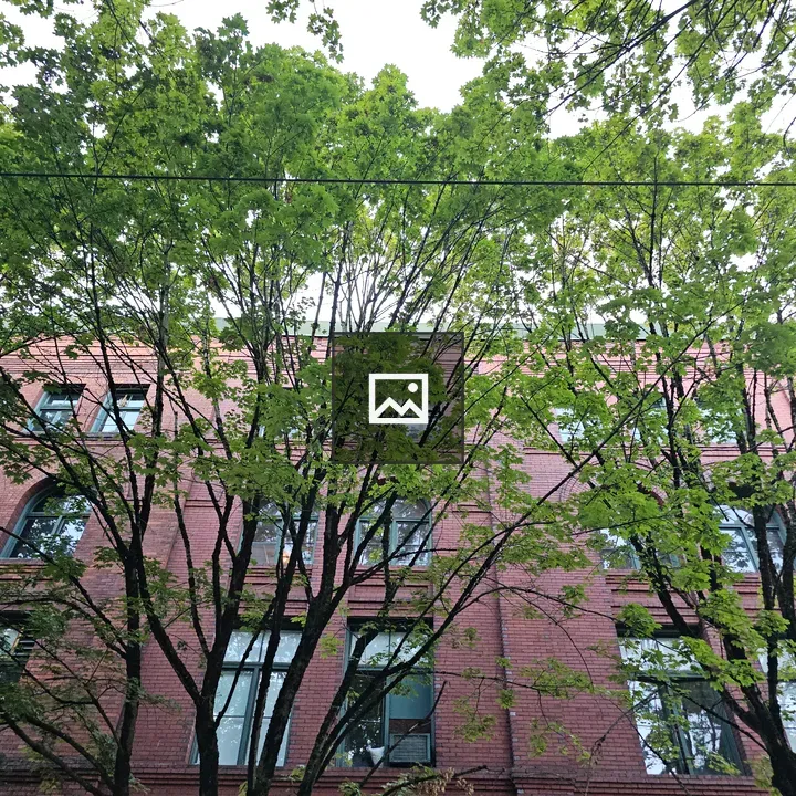 Red Brick Building Behind Trees