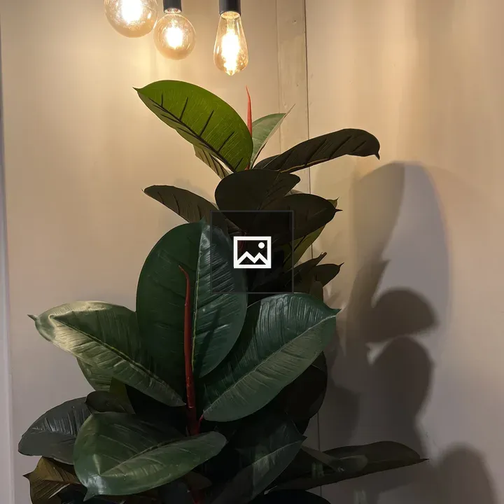 Flower and light