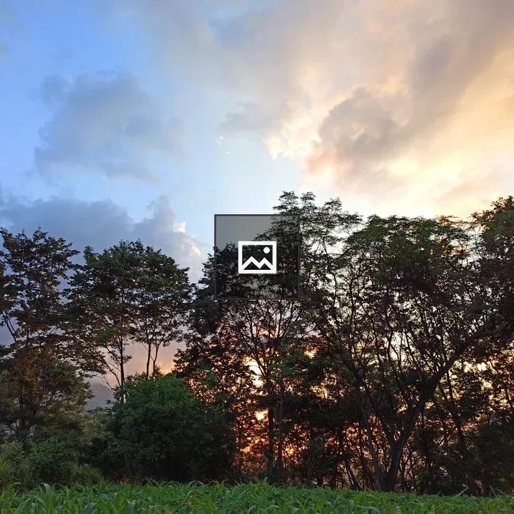 Sunset Over Trees