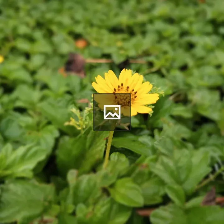 Flower and Grass Close-Up