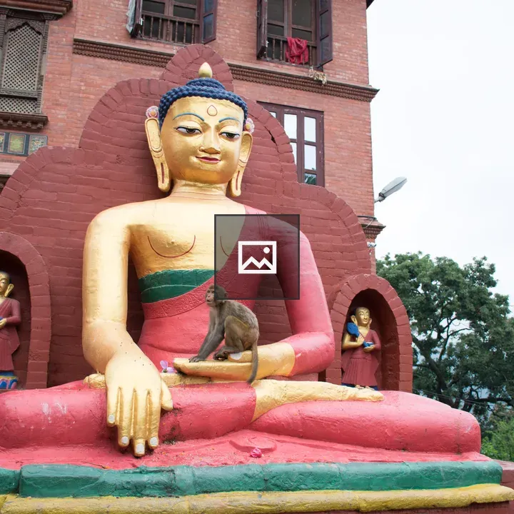 Monkey on Buddha Statue Lap