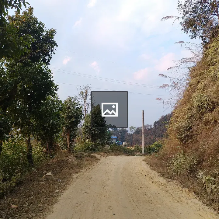 Dirt Road Through Rural Landscape