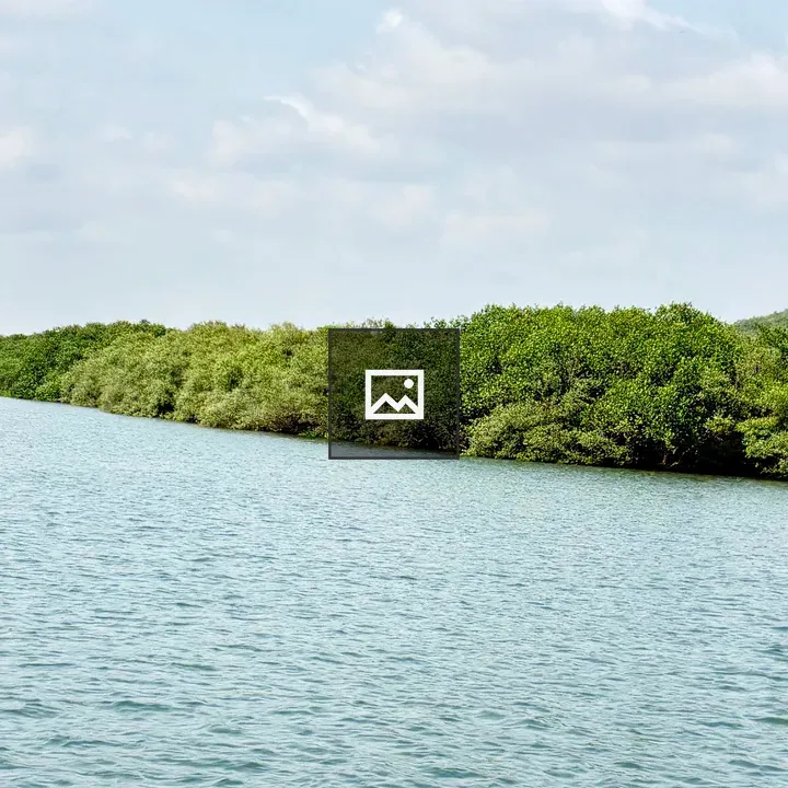 Waterfront with Mangroves