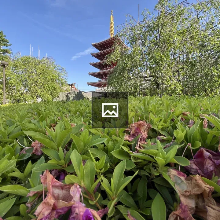 Green Nature with Five Storied Pagoda