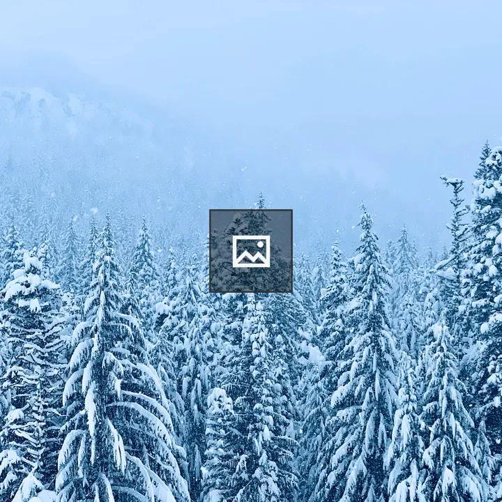 Snowy trees on mountain