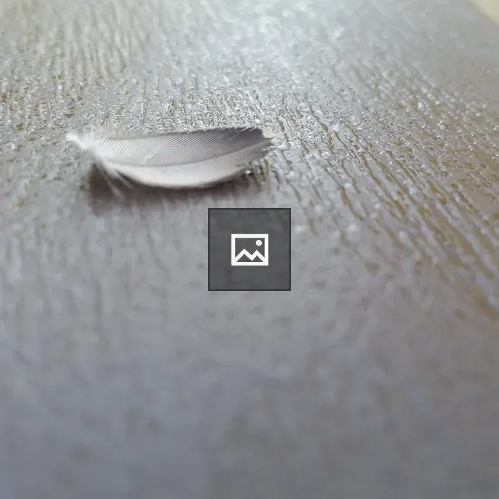 Tiny Feather