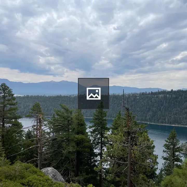 Conifer Forest Over Lake and Mountains
