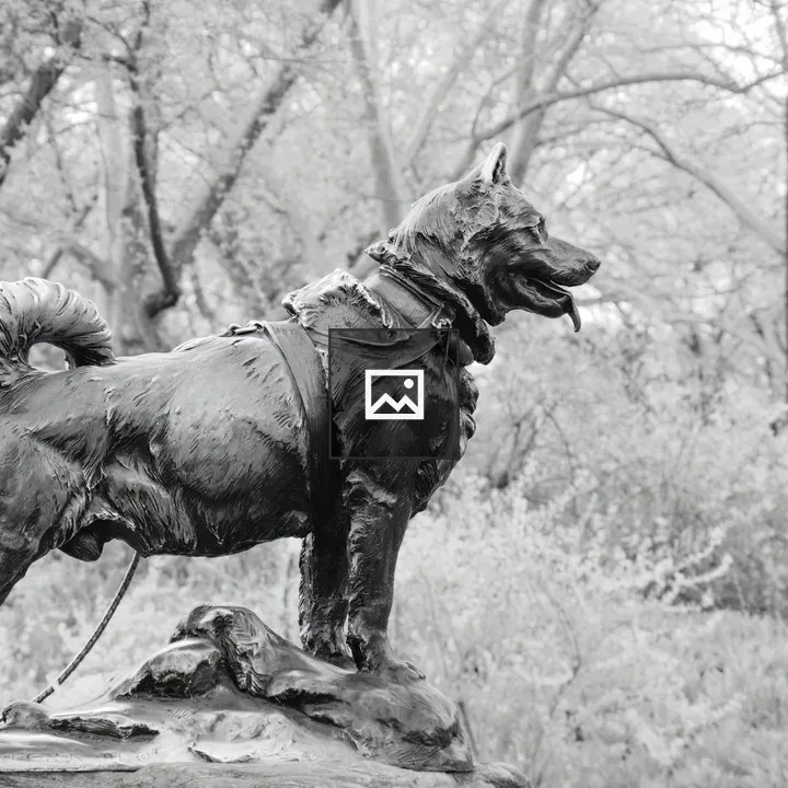 Balto statue in Central Park