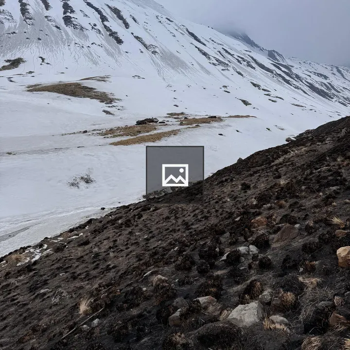 Mountainside snow landscape