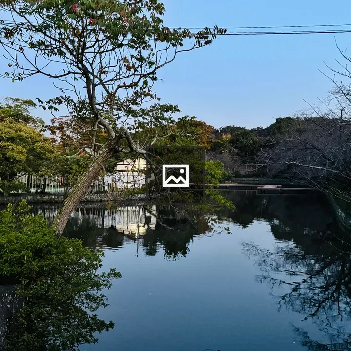 Calm Water with Green Foliage