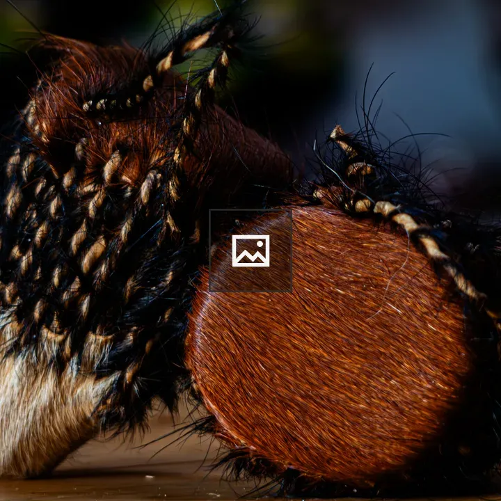 Pair of traditional drums